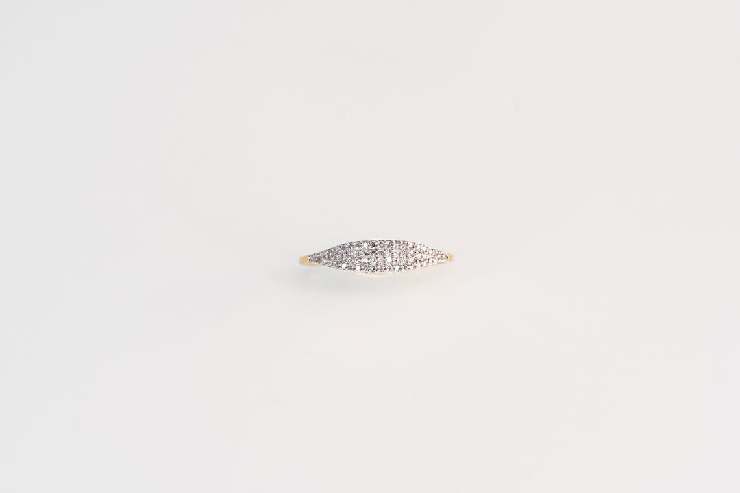 The Cluster Ring